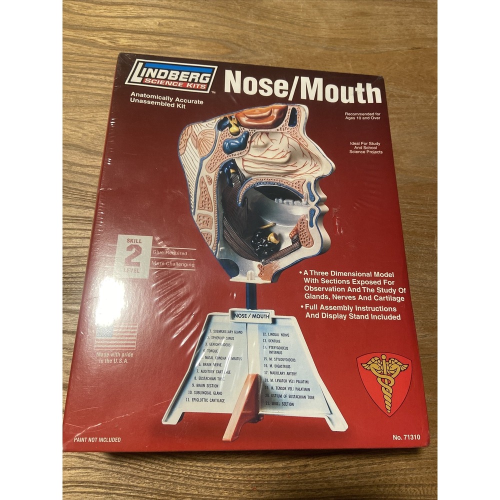 NEW Lindberg Science Kits Human Nose and Mouth Anatomy 3D Model Kit